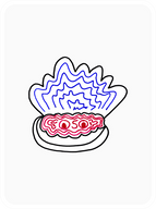 Observant Oyster