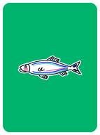 Spiffy Salmon