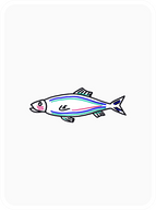 Spiffy Salmon