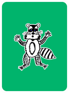 Respectful Racoon