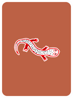 Sentimental Salamander