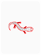 Sentimental Salamander