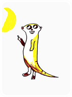 To The Moon Meerkat