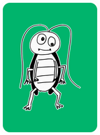 Conviction Cockroach