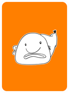Bashful Blobfish