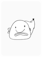 Bashful Blobfish