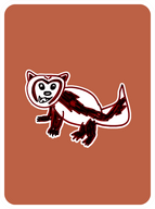 Warm Wolverine