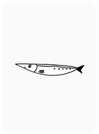 Amiable Anchovy