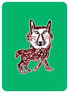 Courteous Coyote