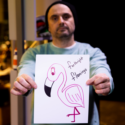 Forthright Flamingo