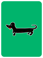 Dapper Dachshund