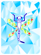 Dedicated Dragonfly
