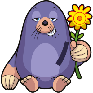 VeeFriends TCG