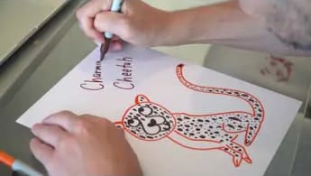 The Creation of Charming Cheetah by Gary Vaynerchuk | VeeFriends