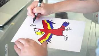 The Creation of Passionate Parrot by Gary Vaynerchuk | VeeFriends
