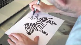 The Creation of Zestful Zebra by Gary Vaynerchuk | VeeFriends