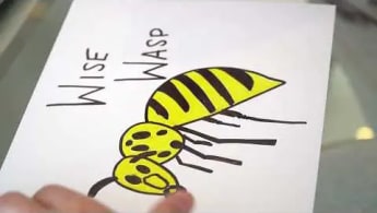 The Creation of Wise Wasp by Gary Vaynerchuk | VeeFriends