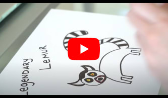 Legendary Lemur original drawing