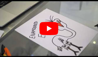 Enamoured Emu original drawing