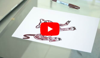 Consistent Cougar original drawing